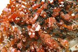 Deep Red Vanadinite Crystals on Barite - Morocco #291086-3